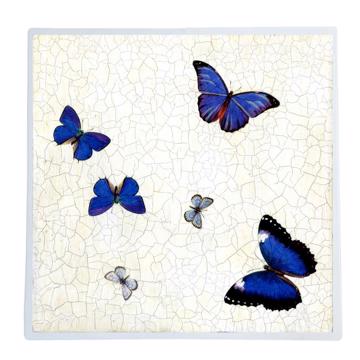 Papillons, Set de Table Chromo Plastifié, bleu foncé [1]