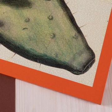 Opuntia, Sets de Table Chromo sur bois, orange [2]