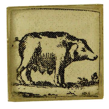 Boutons de Manchette Animaux en Découpage et résine, gris clair, cochon