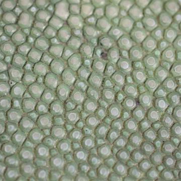 Couvert Galuchat en cuir véritable, vert foncé, set de 5 [4]
