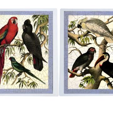 Amazonie, Chromo placemats in laminated paper, multicolor, complet collection [2]