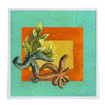 Aquarius, Chromo placemats in laminated paper, aqua