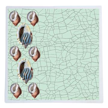 Coquillages, Sets de Table Chromo Plastifié, bleu clair, coquillage 3 [1]