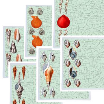Coquillages, Sets de Table Chromo Plastifié, bleu clair, collection complète [2]