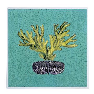 Red and Yellow Coral, Chromo placemats in laminated paper, yellow, coral 4 [1]