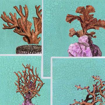 Red and Yellow Coral, Chromo placemats in laminated paper, red orange, complet collection [2]