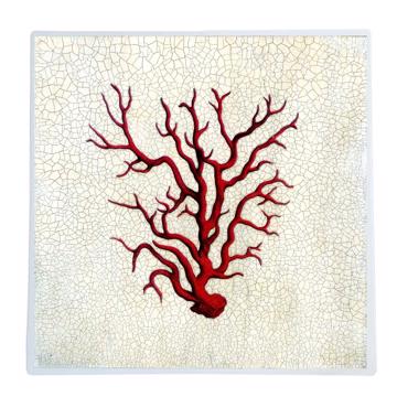 Coral branch, Chromo placemats in laminated paper