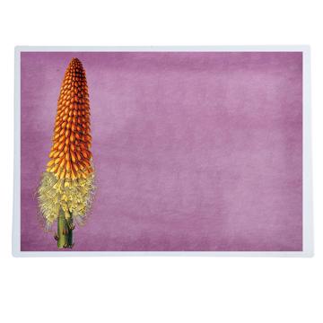 Flowers, Chromo placemats in laminated paper