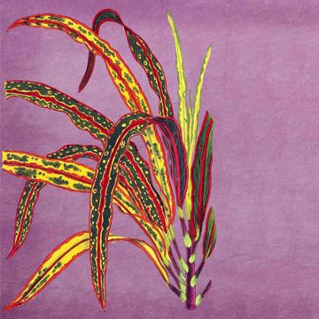 Flowers, Chromo placemats in laminated paper, violet, flower 8 [2]