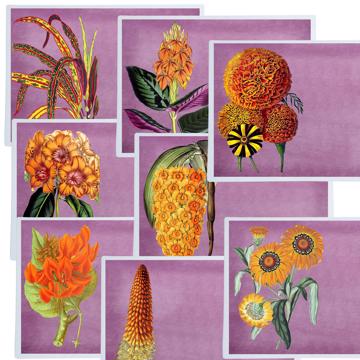 Flowers, Chromo placemats in laminated paper, violet, complet collection [1]