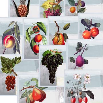 Fruits, Sets de Table Chromo Plastifié, bleu gris, collection complète [2]