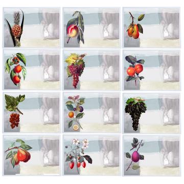 Fruits, Chromo placemats in laminated paper