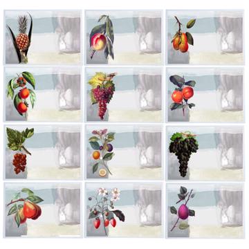 Fruits, Sets de Table Chromo Plastifié
