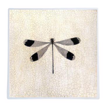 Libellules, Set de Table Chromo Plastifié, blanc