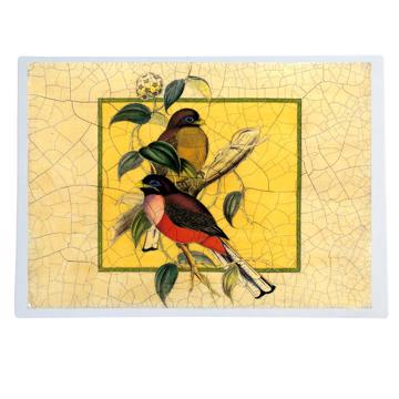 Gould Birds 6, Chromo placemats in laminated paper