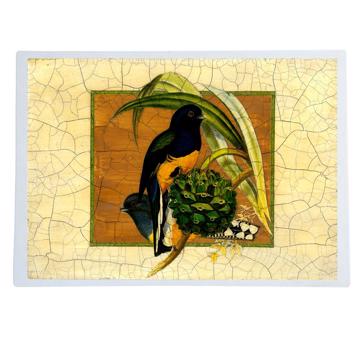 Oiseaux Gould, Set de Table Chromo Plastifié, multicolore, oiseau 3 [1]