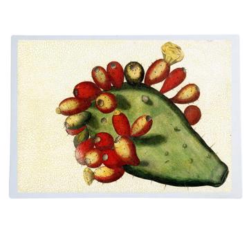 Opuntia, Chromo placemats in laminated paper
