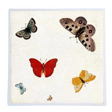 Papillons, Set de Table Chromo Plastifié