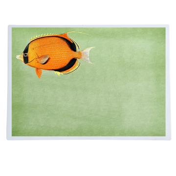 Poissons et Coquillages, Sets de Table Chromo Plastifié, vert clair, poisson 3 [1]