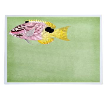 Poissons et Coquillages, Sets de Table Chromo Plastifié, vert clair, poisson 4 [1]