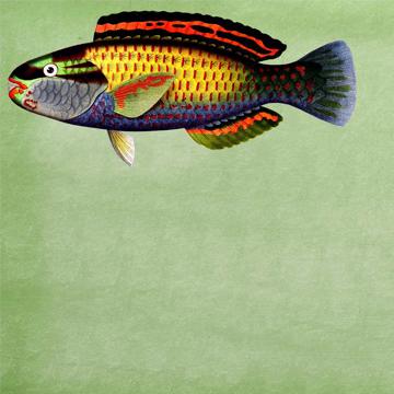 Poissons et Coquillages, Sets de Table Chromo Plastifié, vert clair, poisson 5 [2]