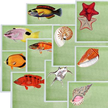 Poissons et Coquillages, Sets de Table Chromo Plastifié, vert clair, collection complète [2]