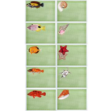 Fish and Shell, Chromo placemats in laminated paper
