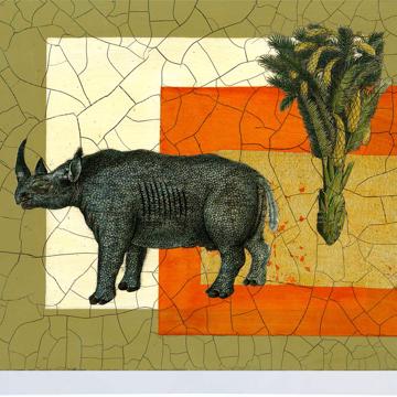 Safari, Sets de Table Chromo Plastifié, multicolore, rhinocéros [2]