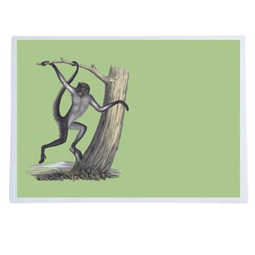 Singes, Sets de Table Chromo Plastifié, vert mousse