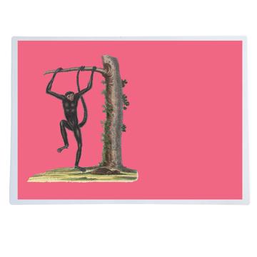 Singes, Sets de Table Chromo Plastifié, rose vif