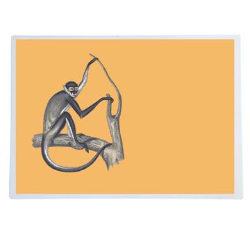 Singes, Sets de Table Chromo Plastifié, orange