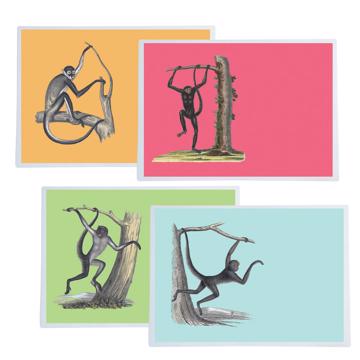 Singes, Sets de Table Chromo Plastifié