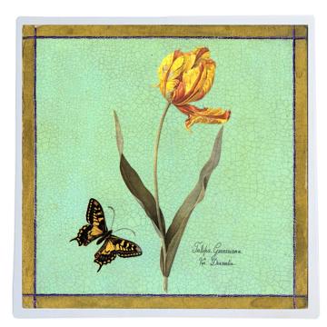 Tulips, Chromo placemats in laminated paper