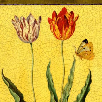 Tulips, Chromo placemats in laminated paper, yellow, tulip 2 [2]