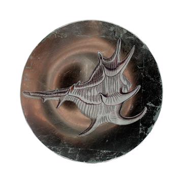 Shells plates in decoupage under glass, silver, shell 2 [3]
