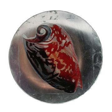 Shells plates in decoupage under glass, silver, shell 1 [3]