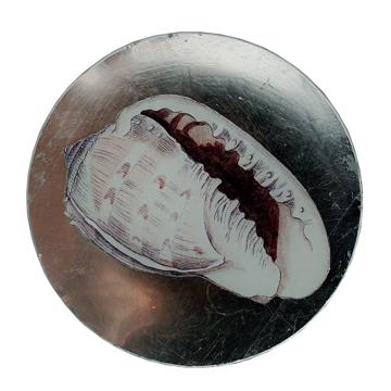 Shells plates in decoupage under glass, silver, shell 5 [3]