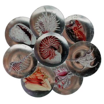 Shells plates in decoupage under glass, silver, complet collection