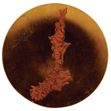 Assiettes Corail en Découpage sous verre, or, corail 2 [5]