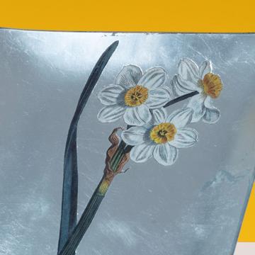 Assiette Table Jonquille en découpage sous verre, argent, jonquille 1 [2]
