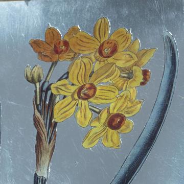 Assiette Table Jonquille en découpage sous verre, argent, jonquille 4 [2]
