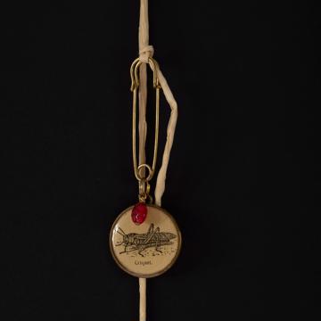 Broche illustrée en résine et métal doré, nature, sauterelle [1]