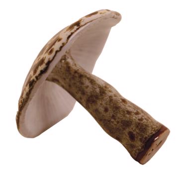 Champignons en grès, beige, champignon de printemps