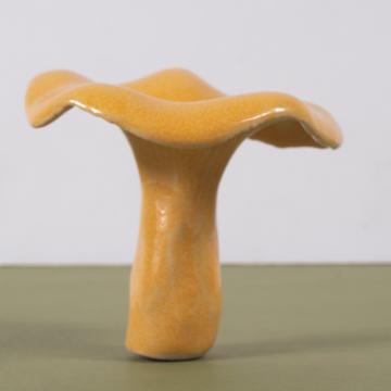 Champignons en grès, orange, girolle [2]