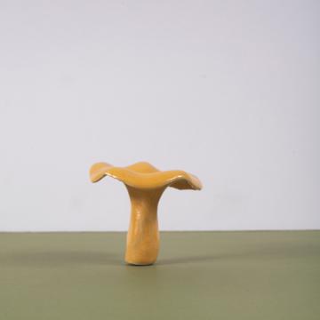 Champignons en grès, orange, girolle [1]