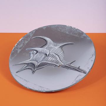 Shells plates in decoupage under glass, silver, shell 2 [1]