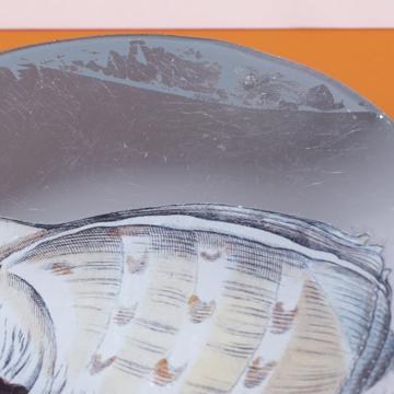Shells plates in decoupage under glass, silver, shell 5 [5]