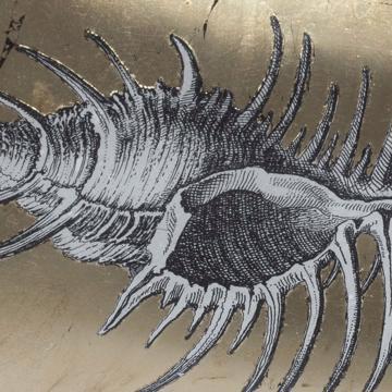 Plat Coquillage en Découpage sous verre, or [3]