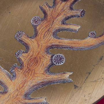 Assiettes Corail en Découpage sous verre, or, corail 5 [2]