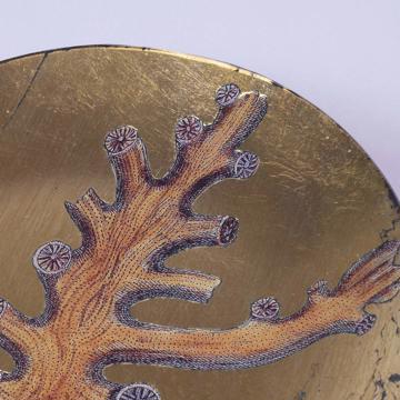 Assiettes Corail en Découpage sous verre, or, corail 5 [3]